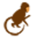 cutterandsquidge